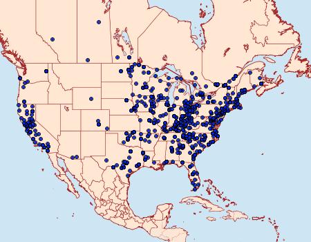 Distribution Data for Orthonama obstipata