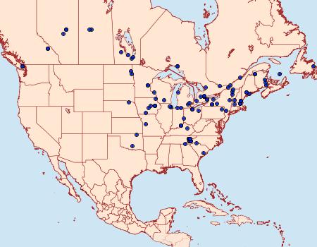 Distribution Data for Hydrelia albifera