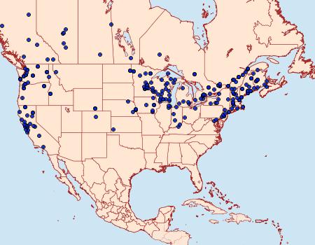 Distribution Data for Operophtera bruceata