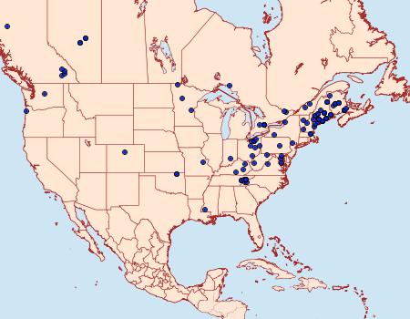 Distribution Data for Eupithecia palpata
