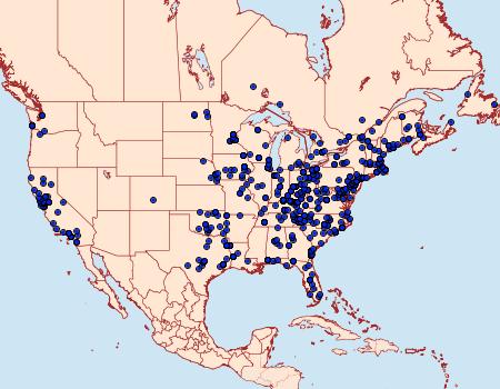 Distribution Data for Eupithecia miserulata