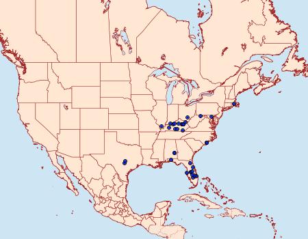 Distribution Data for Eupithecia jejunata