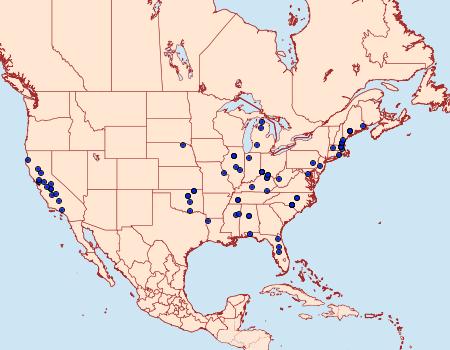 Distribution Data for Phyllonorycter fitchella