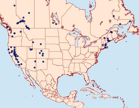Distribution Data for Eupithecia cretaceata
