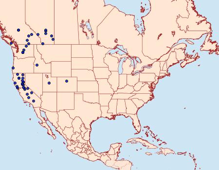 Distribution Data for Eupithecia lachrymosa