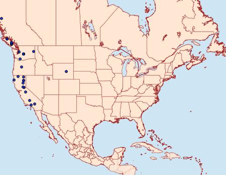 Distribution Data for Eupithecia spermaphaga
