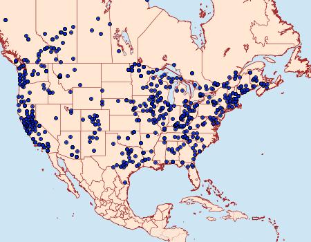 Distribution Data for Phyllodesma americana