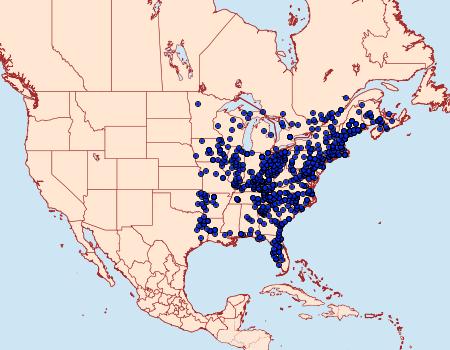 Distribution Data for Dryocampa rubicunda