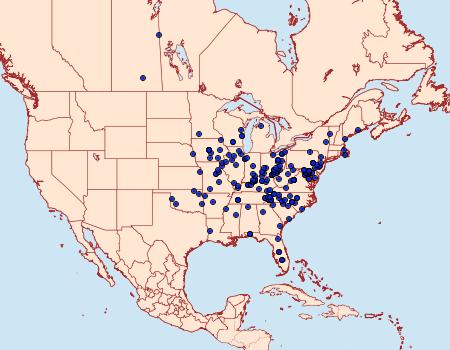 Distribution Data for Dasylophia anguina