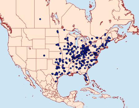 Distribution Data for Lochmaeus bilineata