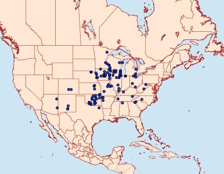 Distribution Data for Haploa reversa