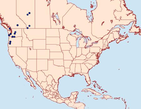 Distribution Data for Spilosoma pteridis