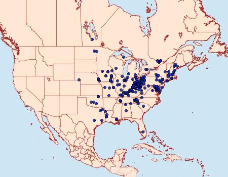 Distribution Data for Apantesis nais