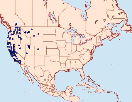 Distribution Data for Apantesis ornata