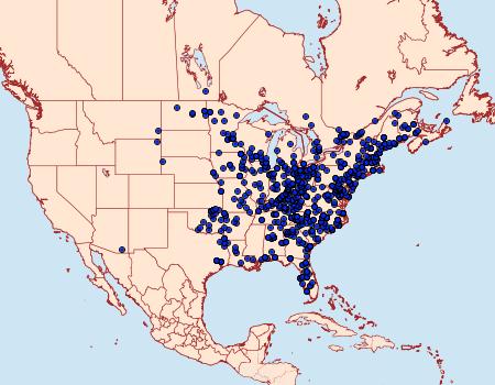 Distribution Data for Halysidota tessellaris