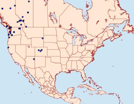 Distribution Data for Dasychira grisefacta