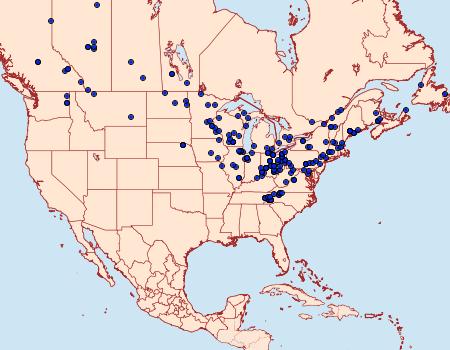 Distribution Data for Phalaenostola metonalis