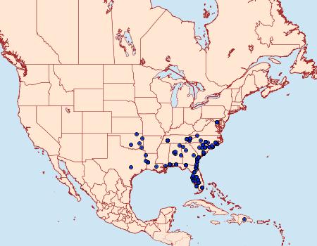 Distribution Data for Renia fraternalis