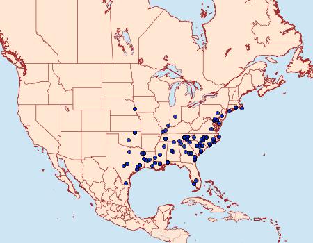 Distribution Data for Hypenopsis calusa