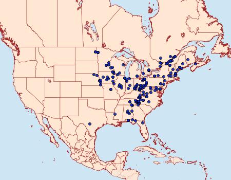 Distribution Data for Hypena deceptalis
