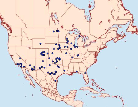Distribution Data for Tathorhynchus exsiccata
