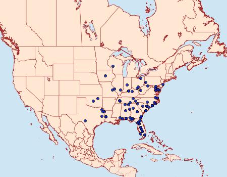 Distribution Data for Metalectra tantillus
