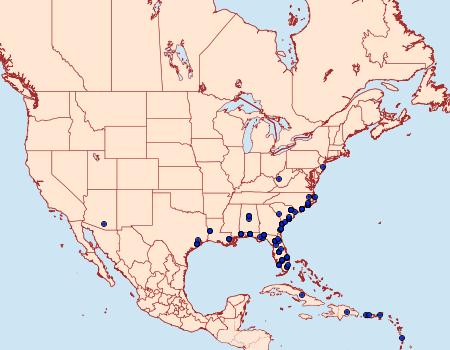 Distribution Data for Metallata absumens