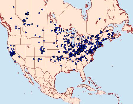 Distribution Data for Caenurgina crassiuscula