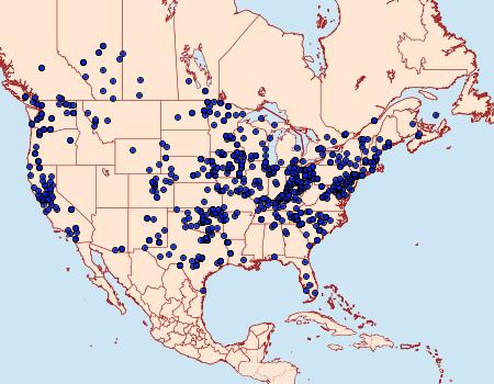 Distribution Data for Caenurgina erechtea