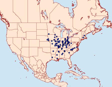 Distribution Data for Catocala robinsonii