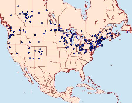 Distribution Data for Catocala relicta