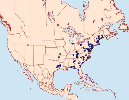 Distribution Data for Catocala gracilis