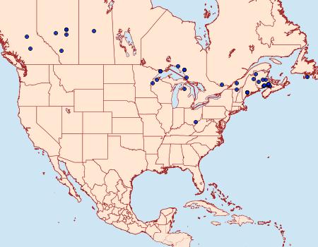 Distribution Data for Autographa rubidus