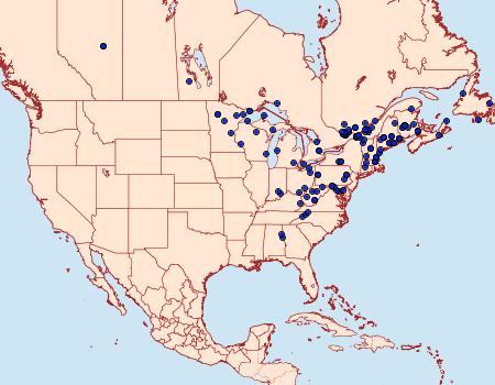 Distribution Data for Bibarrambla allenella