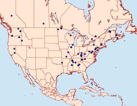 Distribution Data for Semioscopis merriccella