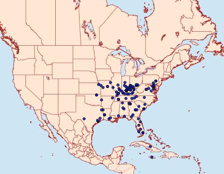 Distribution Data for Spragueia apicalis
