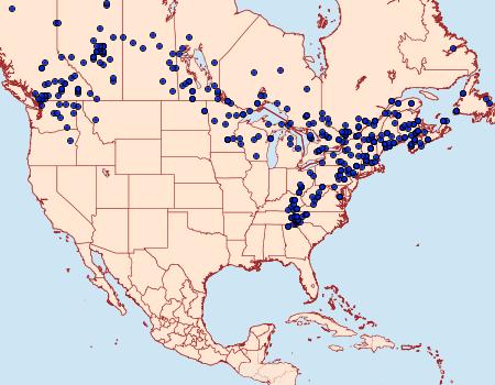 Distribution Data for Acronicta innotata