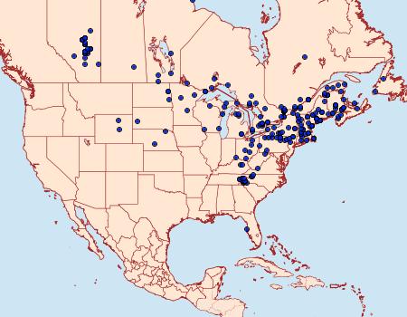 Distribution Data for Acronicta superans