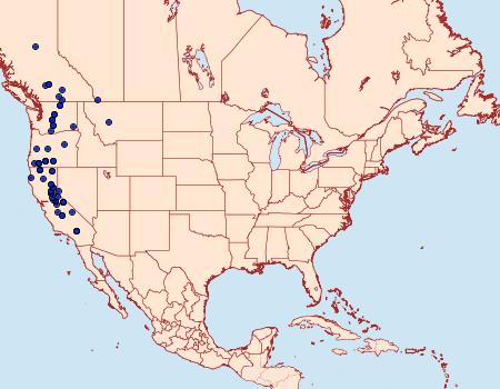 Distribution Data for Apamea centralis