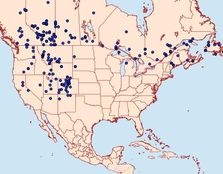 Distribution Data for Apamea commoda
