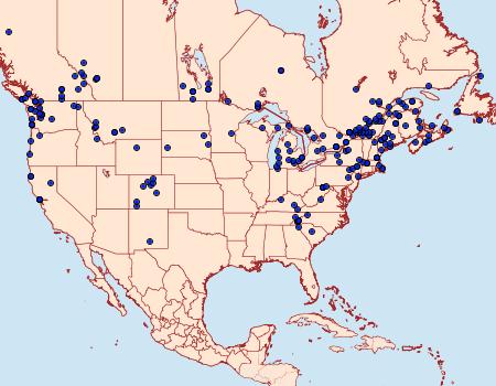 Distribution Data for Apamea indocilis