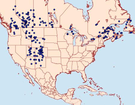 Distribution Data for Apamea inficita