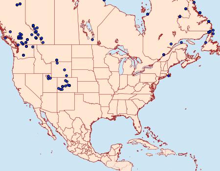 Distribution Data for Apamea zeta