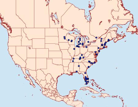 Distribution Data for Papaipema speciosissima