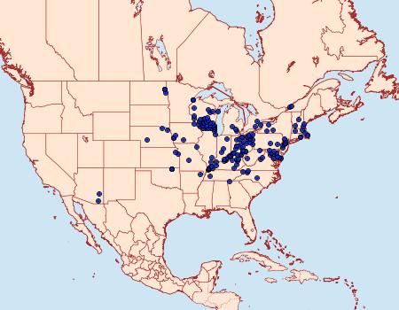 Distribution Data for Papaipema baptisiae