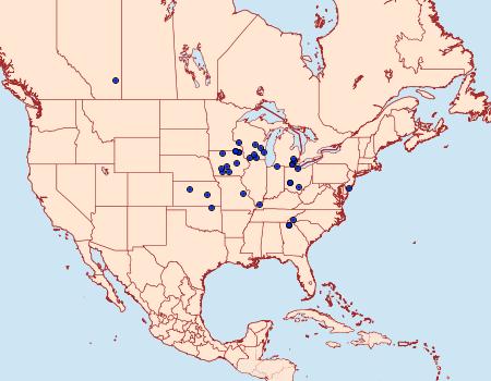 Distribution Data for Papaipema maritima