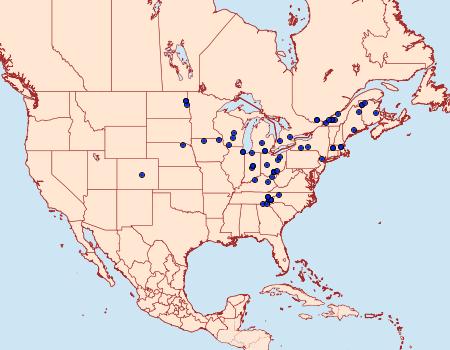 Distribution Data for Papaipema nelita