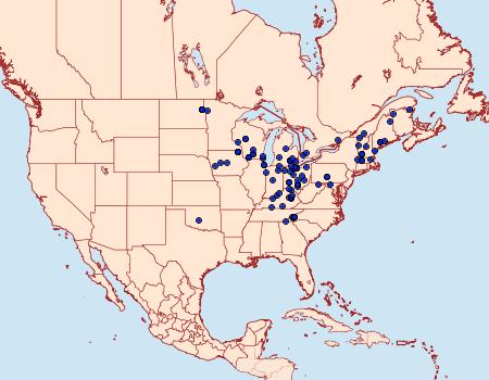 Distribution Data for Papaipema rigida