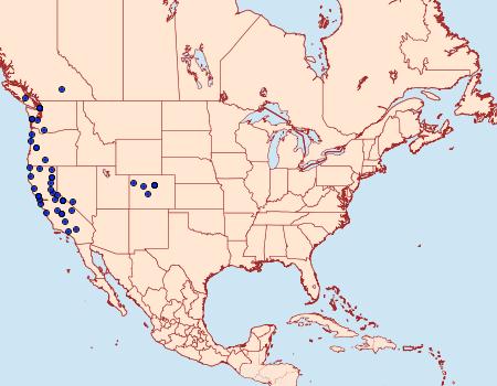 Distribution Data for Hydraecia obliqua