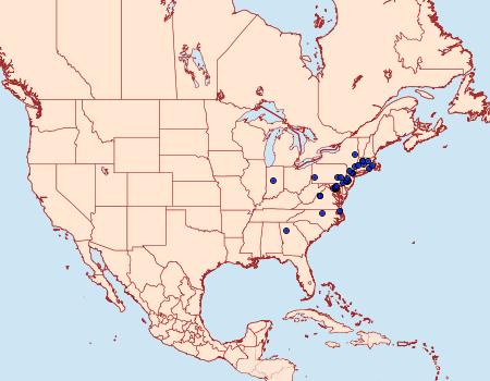 Distribution Data for Niphonyx segregata
